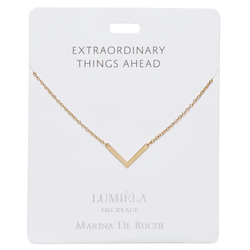 'Extraordinary Things Ahead' Gold Arrowhead Necklace *PRE-ORDER